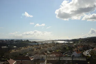 DSC_7245 (Large).JPG